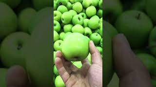 #shortvideo Green apple, 🍏 bagus untuk pencernaan tubuh, 😊😊