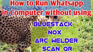 How to run Whatsapp in Computer Without Using BlueStack | Nox | ARC welder | Scan QR Code