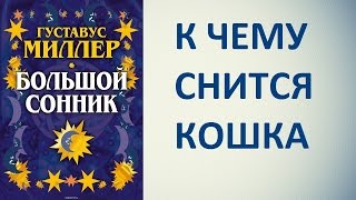 К чему снится кошка. Сонник Миллера. Толкование снов.