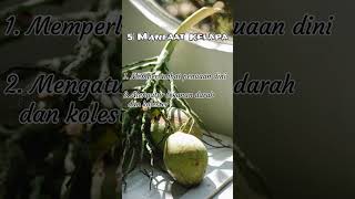 Manfaat buah Kelapa #shorts