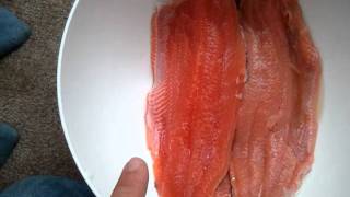 Pink Salmon Male vs Female