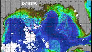 Gulf of Mexico Ocean Conditions Update - 08/13/2024