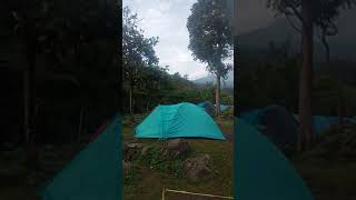 Mandalawangi camping ground blok sungai