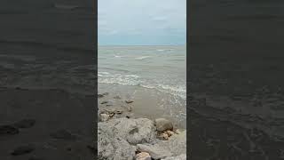 #Caspian sea#iran #nature#2024shorts #2024/06/29 Babolsar