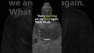 Buddha Quotes That Will Change Your Life | Quotes, Aphorism, Wisdom