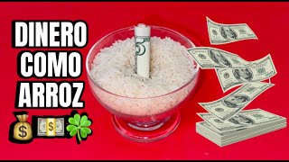 Dinero Como Arroz 💰Abundancia en tu Vida! 🍀💴💰