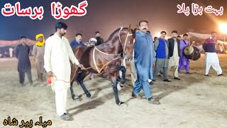 horse dance Top dhamal | ghoda barsaat | abdul sattar kalsana | mela peer shah -9