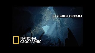 С точки зрения науки Морская бездна Документальный фильм National Geographic 2021