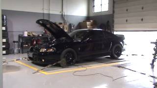 Mike's Whipple-Charged 2003 10th Anniversary Cobra on the Dyno