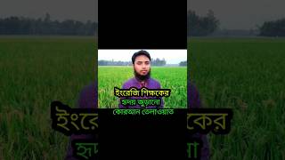 ইংরেজি শিক্ষকের অসাধারণ কোরআন তেলাওয়াত   #quran #islamicstatus #shortvideo