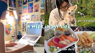 WEEKLY VLOG | a week in my life as a college student | getting a puppy, adulting, anime & cooking 🍳