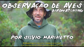 OBSERVAÇÃO DE AVES por SILVIO MARCHETTO - BIRDWATCHING DOC.