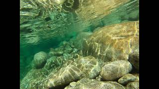 underwater plane of view of swimning dog, geres, portugal