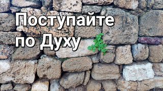 Зрелость, это когда все ценное происходит изнутри снаружу, а не наоборот 💖 Будь Человеком!💖