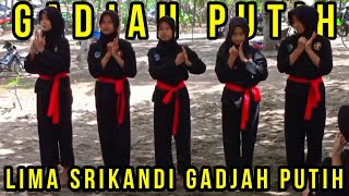 LIMA SRIKANDI GADJAH PUTIH | SADHISIDE