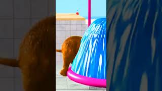 Tom #shortvideo #tom #shorts