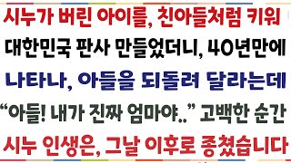 (반전신청사연)미혼모인 시누가 버린 아들을 친아들처럼 키워 판사만들었더니 40년만에 나타나 아들을 돌려 달라는 "아들 내가 진짜 엄마야" 말한순간[신청사연][사이디썰][사연라디오]