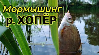 На Хопре с мормышкой. Отличный день.