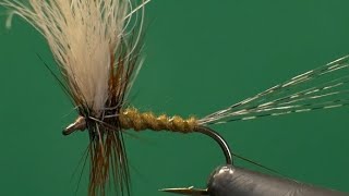 Olive dry fly