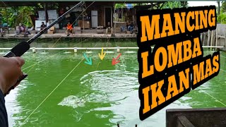 Mancing Di Kolam Pemancingan Ikan Mas Lomba Mingguan Empang Bang Godin Mantap