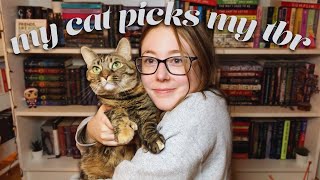 my cat picks my january tbr 😸📚