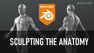 Sculpting the human anatomy in Blender (Full process ! ) - Part 2/2