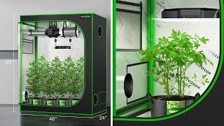 An Awesome At-Home Grow Tent: The VIVOSUN Grow Tent