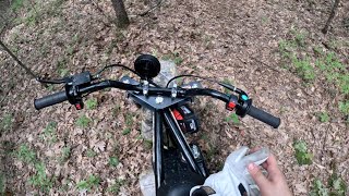 Dog Guides Owner Through the Woods on a Mini Bike