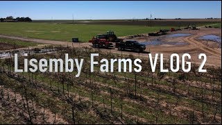 VLOG 2 Sunday on LIsemby Farms