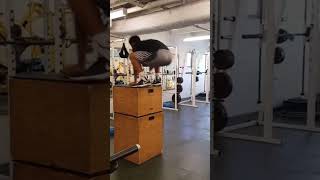 Top Vertical Jump Trainer on YouTube | Speed Doctor in the LAB