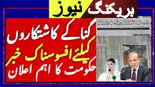 Today Wheat price in punjab/گنا کا ریٹ 2024/munji makki till sarso | sugar mills association