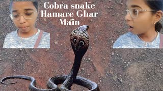 Itna Bada Cobra Snake😱😳 | Hamare Ghar main Cobra Snake