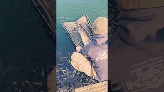 nice fish released #fishing #carpy #london #carping #fish #carp #shorts #carpfishing #fishingvideo