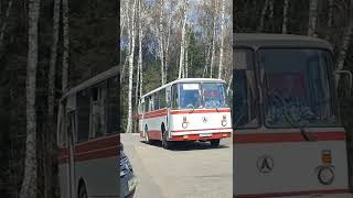 ЛАЗ 695