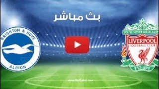 يلا شوت بث مباشر مباراة ليفربول وبرايتون | يلا شوت بث مباشر مباريات اليوم