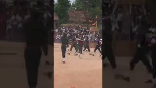 Nalanda college cadet band 😍💪🥁 #cadetband #shorts #youtubeshorts #nalanda #band #srilanka #parade