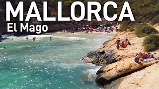 MALLORCA ☀️ PLAYA DEL MAGO / Platja del Rey 🏖 CALVIÁ 👉 drone views