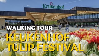 Keukenhof Tulip Garden 2024: Full Walking Tour | Explore the Magic of Spring Blooms! 🌷