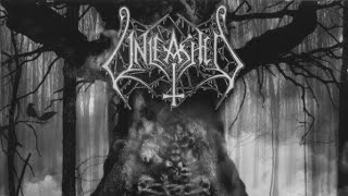 Unleashed - As Yggdrasil Trembles (+Lyrics)