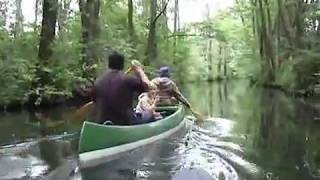 Der Spreewald mit dem Kanu in Deutschland