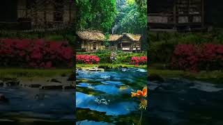 Nature view | China village houses, River, Birds singing | Nature 4k videos | Short video