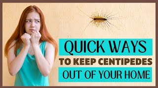 Super Effective Methods To Get Rid Of Centipedes From Your Home Today