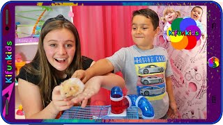 BRINCANDO COM HAMSTER SÍRIO NA CASINHA SURPRESA Kifunkids E COMO CUIDAR DO ANIMAL DE ESTIMAÇÃO