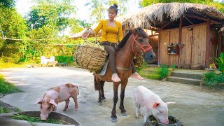 Use Horse Go To Market To Buy Pigs, Chickens, Ducks To Raise - Build Chicken Coop