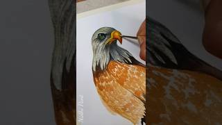 How To Paint An Eagle's Eye #watercolorpainting #watercolorshort #shorts #aestheticart #nidhipant