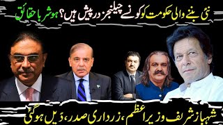 PMLN and PPP Alliance In Formation of Govt | Shehbaz Sharif and Asif Zardari