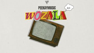 Peekaymusic - Wozala Aii (feat. DJ Molly & Ceehley) (Visualizer)