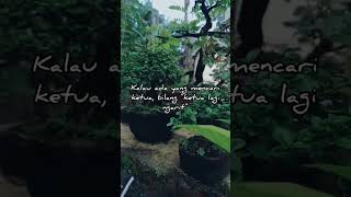 Bonsai Mini #bonsai #antingputri #bonsaiantingputri