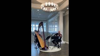 Paint It Black ~  Columbus Musicians, LLC harp and violin duo