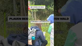 Mit diesen Ideen lockt Plauen Familien zu einem Spaziergang in den Wald | V.TV